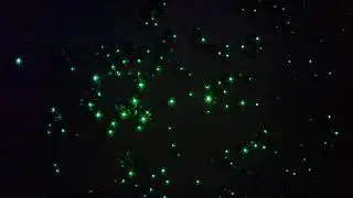 2018. PMMA microsphere WGM resonators on microscope slide. Temperature changes.