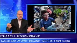 Life on Mars - BrainSTEM Tech News