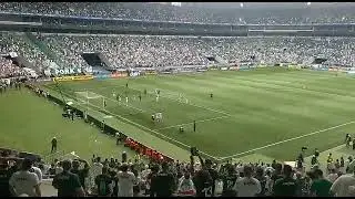 Palmeiras campe&atilde;o da Copinha 2022: torcida solta o grito de campe&atilde;o no Allianz Parque
