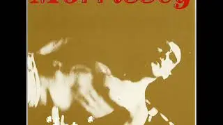 Morrissei - Suedehead