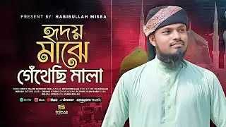 হৃদয় মাঝে গেঁথেছি মালা || Hidoy majhe gethechi mala || Habibullah misbab || Ehsaas studio 4k video