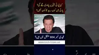 PTI Faces Internal Crisis Amid Ban Proposals and Leadership Challenges