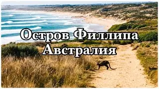 Причины посетить остров Филлипа и Ramada Resort Phillip Island — в частности!