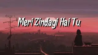 MERI ZINDAGI HAI TU - OST | BILAL ABBAS |HANIA AAMIR | ASIM AZHAR | SABRI SISTERS | ARYDIGITAL
