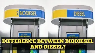 Difference between biodiesel and diesel?