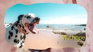 Dog Boarding Kennels Near Me - Margate Kent : 01843 823568