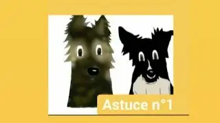 Astuce d'Osaka n&deg;1 soin des coussinets