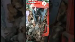 #agriculture#inventions#ideas#coconut#dehusking#machine#short