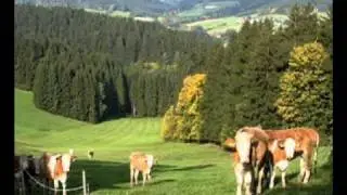I bin´s aus Oberösterreich.mpg