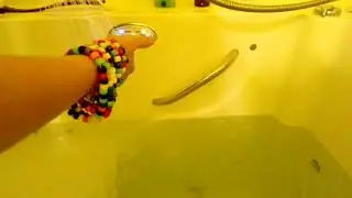 Safe Step Walk In tub review and demonstration