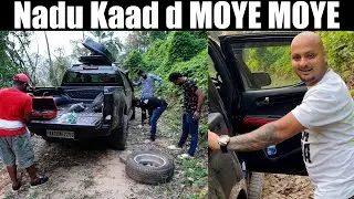 Forest da middle d MOYE MOYE andh 😅