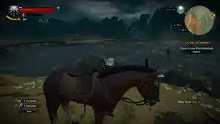 The Witcher 3: Wild Hunt | Hidden Tresure | Manuscript Killer Whale | White Orchid | Harpy Sword 