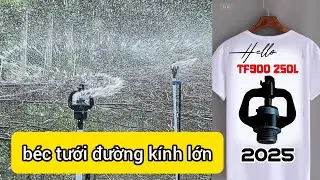 Phim trường review b&eacute;c tưới.#bectuoicay #hethongtuoicay #irrigation #water