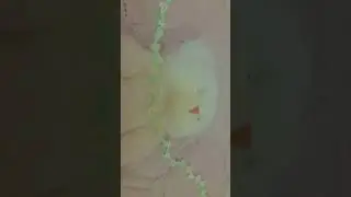 21 октября 2024 г.