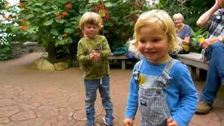 Victoria Butterfly Gardens: Victoria Community Spotlight