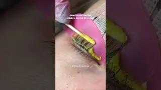 Why Everyone&rsquo;s Obsessed with Dolphin Flat Shields 🐬 | Korean Lash Lift Must-Have!