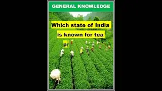 Which State of India is Known for Tea Production ?