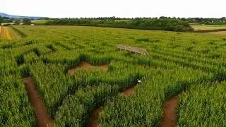 Worcester's amazing maize maze.