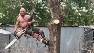 Venomous Behavior - Tree Hugging Mother Nature