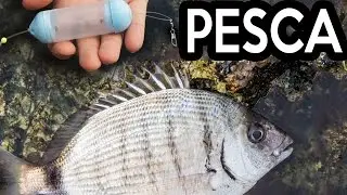 La modifica del pasturatore da pesca (trucco per pescare in mare da terra spiegato da Amato)