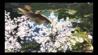 Wii U  tech Demo from E3 Press Conference