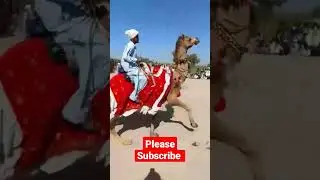 thar festival #viral #thar #camels #mela #animals #subscribe #tharparkar