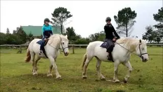 Pferdealltag im T'Niqua Stable Inn