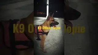 🇸🇬K9 Officer Dopie🇸🇬check out description for Dopie's Instagram and pls hit the follow button thanks