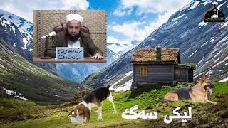 لیکی سەگ چییە؟وەڵامدانەوەی پرسیارووەڵامی شەرعی.مامۆستائارام خەلەکانی