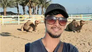 Souq Al wakrah Beach Qatar| filmatic View in Qatar|Qatar Doha|Tamil|