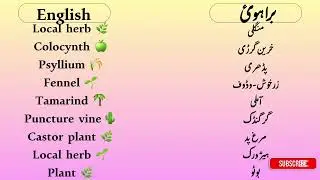 Herbs in Brahui Language | English Meanings | Easy Vocabulary Lesson