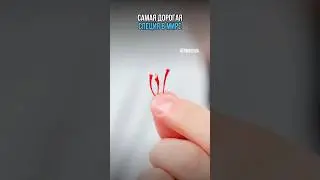 Самая дорогая специя в мире