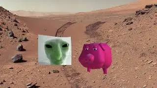 MARS POD