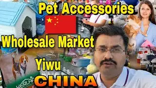 Wholesale Market Yiwu China | Pet Accessories | Pet Products in China wholesale price | Yiwu Market