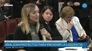 SENADORA ANABEL FERNÁNDEZ SAGASTI - COMISIÓN DE SALUD 03-09-25