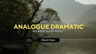 Analogue Dramatic Relaxing Sleep Music #youtube #music #instrumental #relaxing #sleep #tefverse