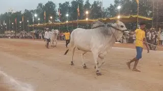 నర్సారావుపేట  న్యూ కేటగిరి 12వ వెదుళ్లపల్లి శ్రీనివాసరావు గారు సరిపుడి& శాఖమూరి విజయ్ పవన్ కుమార్