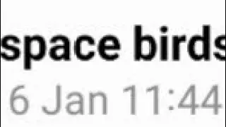 Space birds 4.0.0 Android port 