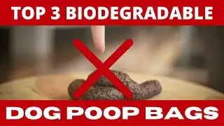 Top 3 Biodegradable DOG poop/waste bags | Best waste bags for general and travel purposes reviewed
