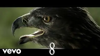 Through Infinity - The Sight Of An Eagle (Official video)