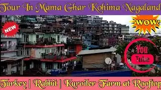 Tour in mama Ghar | My Birth Place Nagaland India | Small Farm And Garden At Rooftop | #therealone4