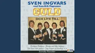 Vid din sida