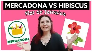 🌺 TÓNICO DE HIBISCUS 🌺 | Flor de Jamaica, el BÓTOX VEGETAL 