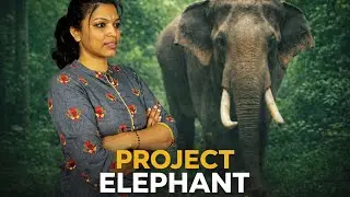PROJECT ELEPHANT IMPORTANT FOR PSI/ESI/PC/KPSC