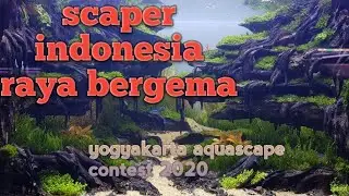 yogyakarta aquascape contest 2020 amazing indonesia scaper