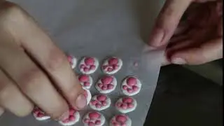 EOAP    Bunny Bottom Pops   Peel off paws