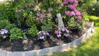 Hello June 2024! Late Spring City English-style Cottage Garden | Planting Impatiens and SunPatiens