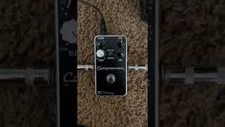 Keeley Compressor Plus Guitar Pedal Demo Live Now✅🔥