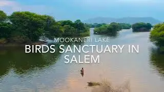 AERIAL VIEW OF SALEM MOOKANERI LAKE..  ISLAND OF SALEM..YERCAUD LAKE..