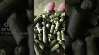 Export 🇪🇦🍀🇦🇪 Pellets Alfafa